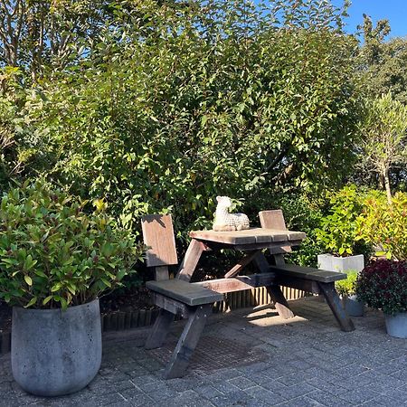 B&B Vloedlijn Texel Den Burg Exteriér fotografie