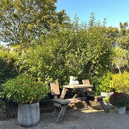 B&B Vloedlijn Texel Den Burg Exteriér fotografie