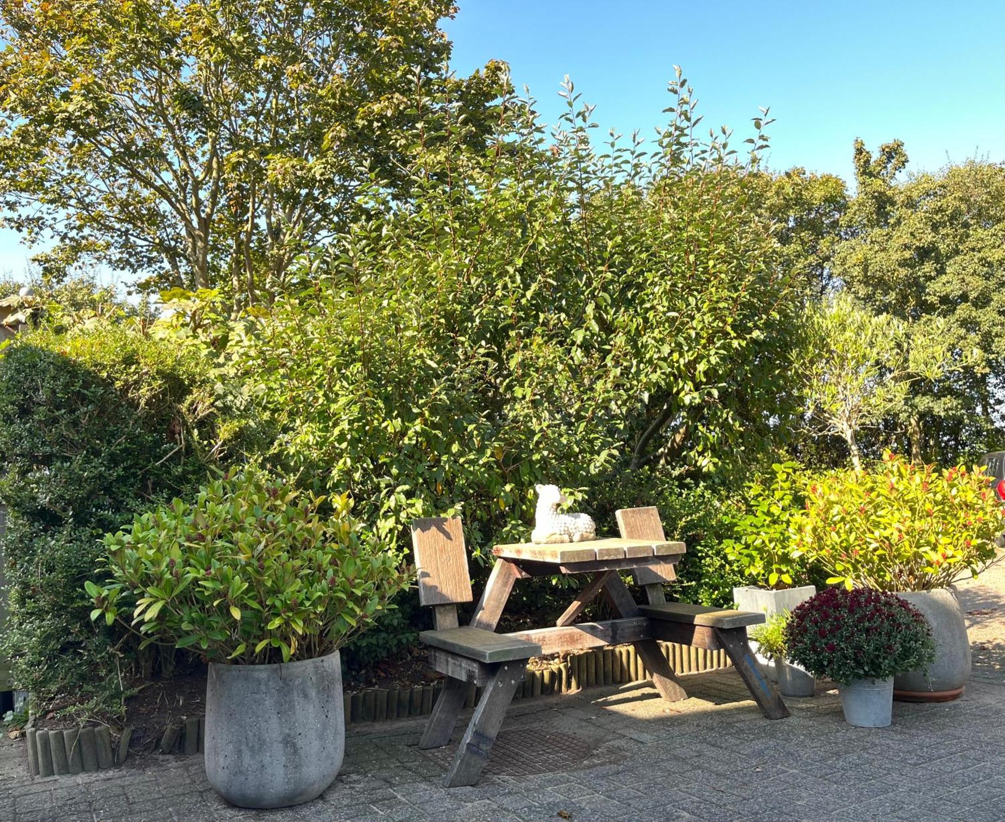 B&B Vloedlijn Texel Den Burg Exteriér fotografie